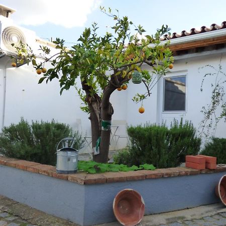 Solar Da Cumeada Bed and Breakfast Reguengos de Monsaraz Exterior foto