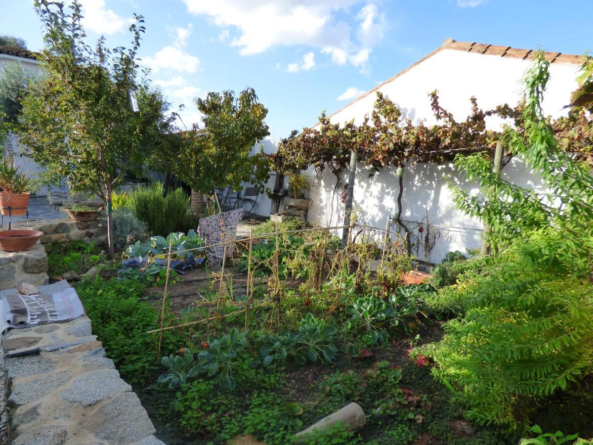 Solar Da Cumeada Bed and Breakfast Reguengos de Monsaraz Exterior foto