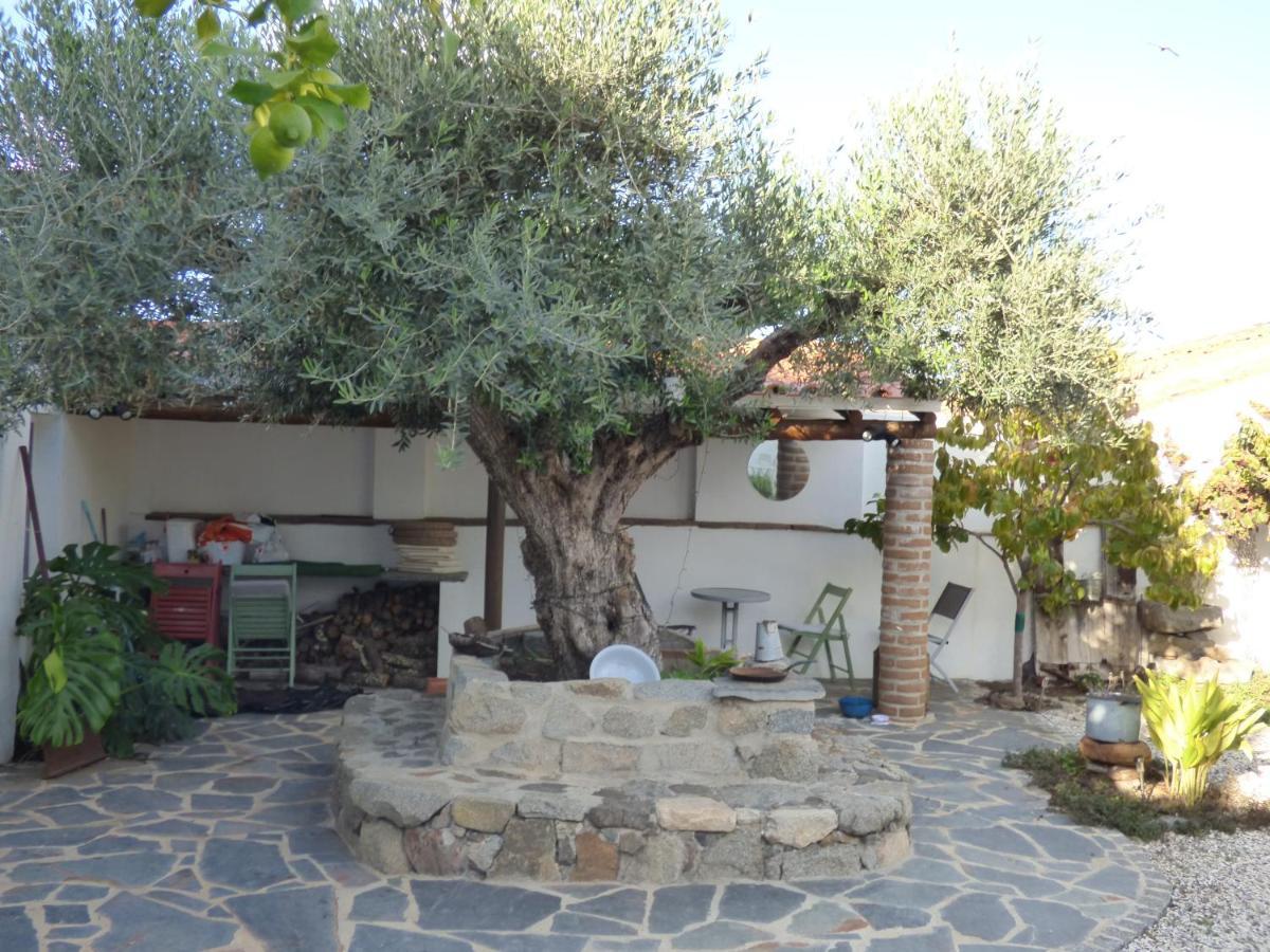 Solar Da Cumeada Bed and Breakfast Reguengos de Monsaraz Exterior foto