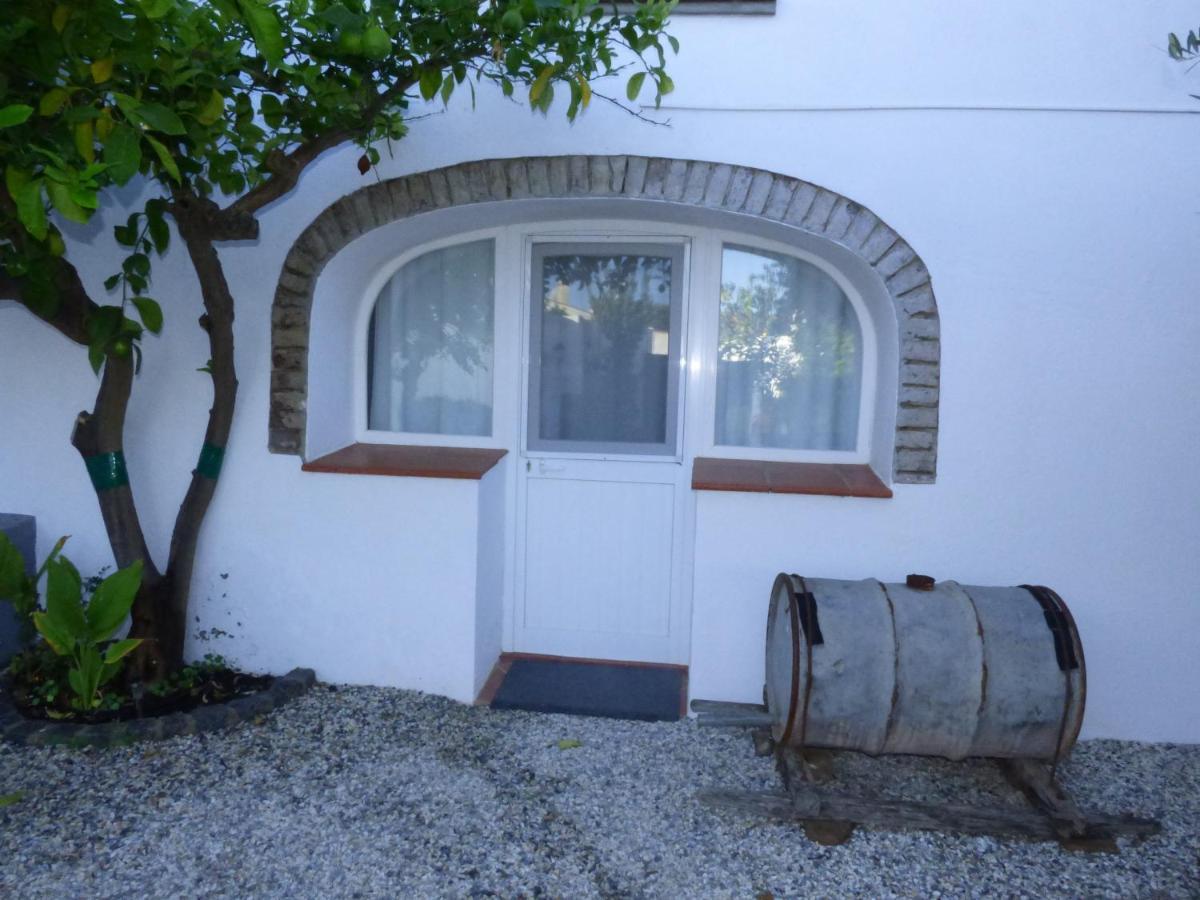 Solar Da Cumeada Bed and Breakfast Reguengos de Monsaraz Exterior foto