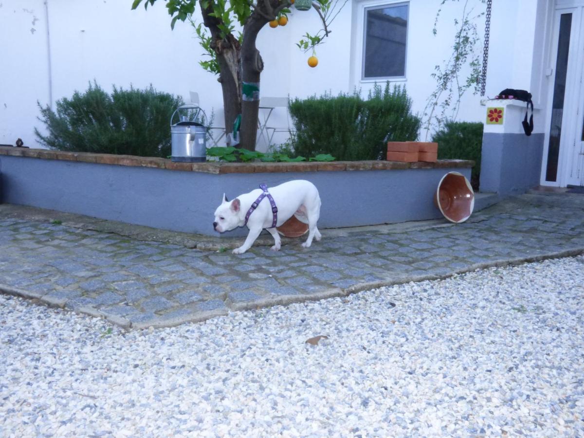 Solar Da Cumeada Bed and Breakfast Reguengos de Monsaraz Exterior foto